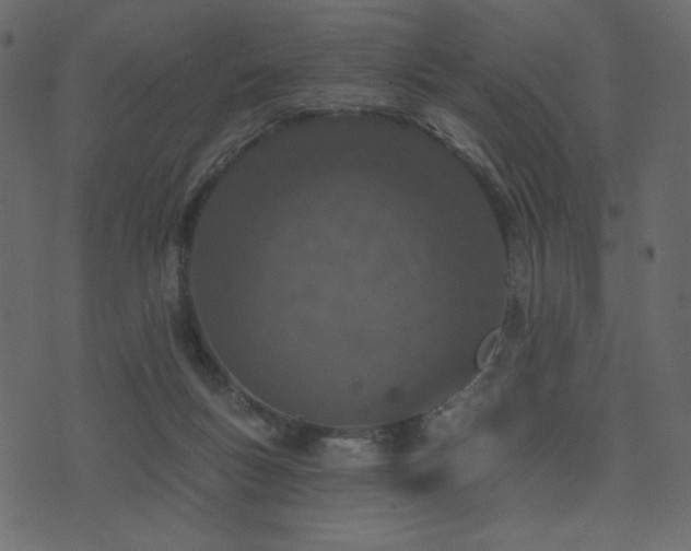 X0000074320167200608251310