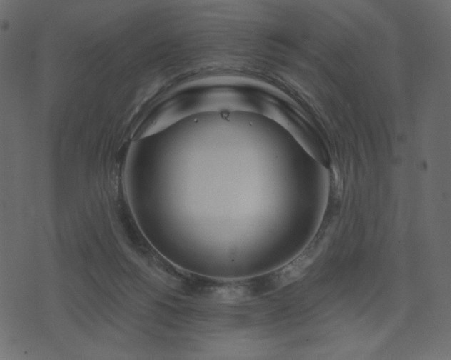 X0000074320168200608251310