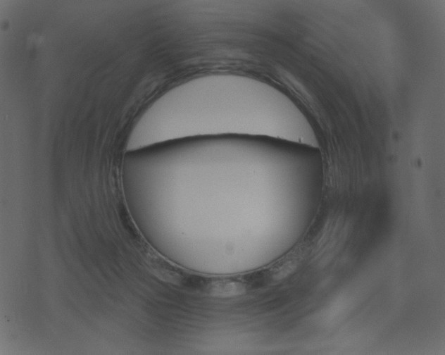 X0000074320169200608251310