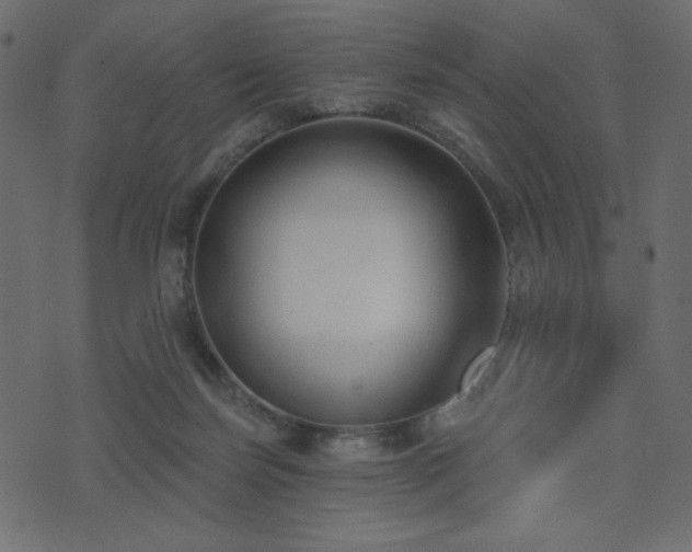 X0000074320171200608251310