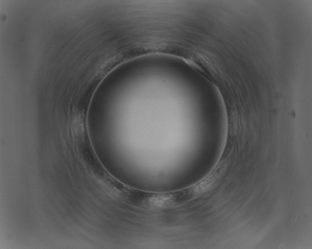 X0000074320172200608251310