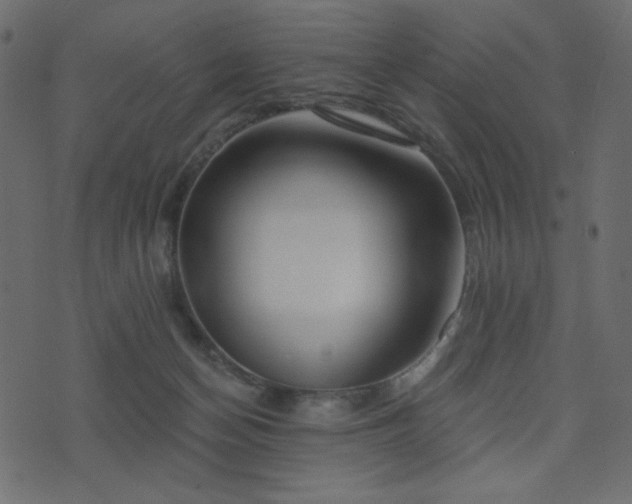 X0000074320174200608251310