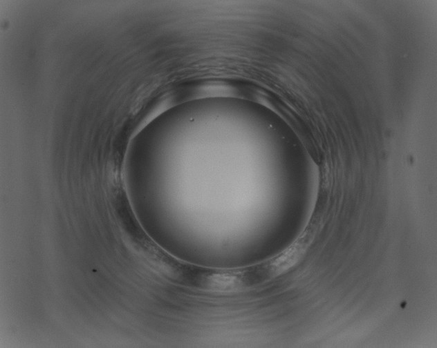 X0000074320176200608251310