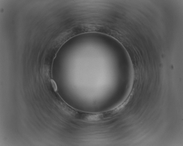 X0000074320178200608251310