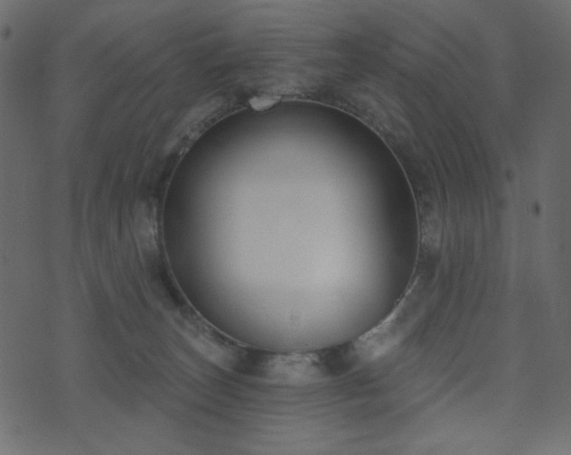 X0000074320179200608251310