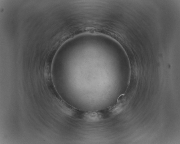 X0000074320181200608251310