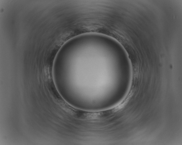 X0000074320182200608251310
