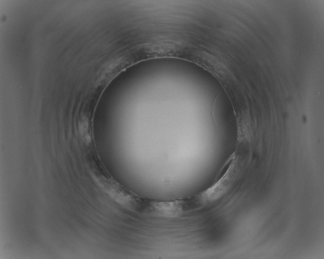 X0000074320187200608251310