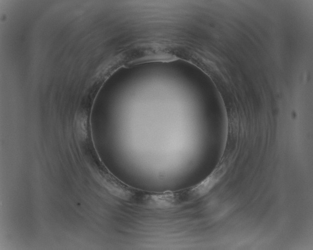 X0000074320188200608251310