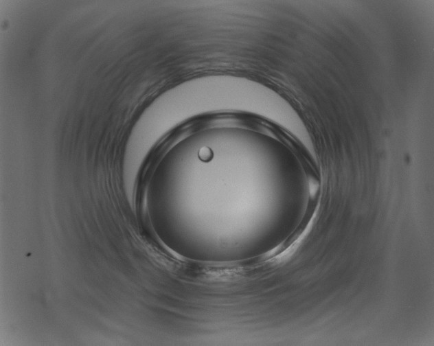 X0000074320190200608251310