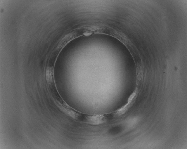 X0000074320191200608251310