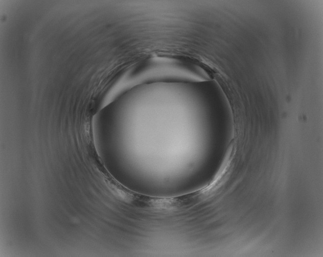 X0000074320192200608251310