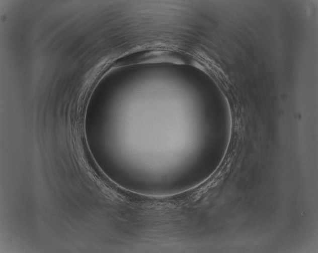 X0000074320193200608251309