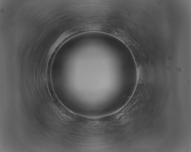 X0000074320195200608251309