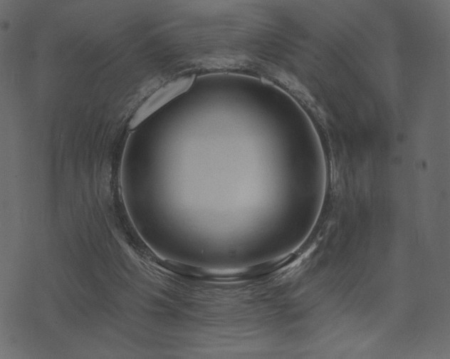 X0000074320201200608251309