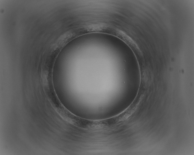 X0000074320209200608251309