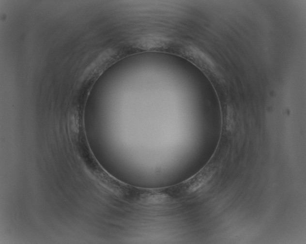 X0000074320210200608251309