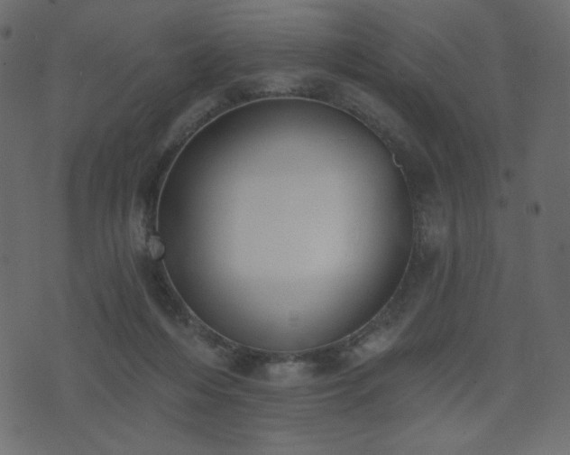 X0000074320216200608251309