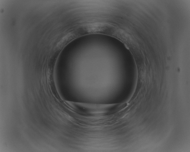 X0000074320219200608251309