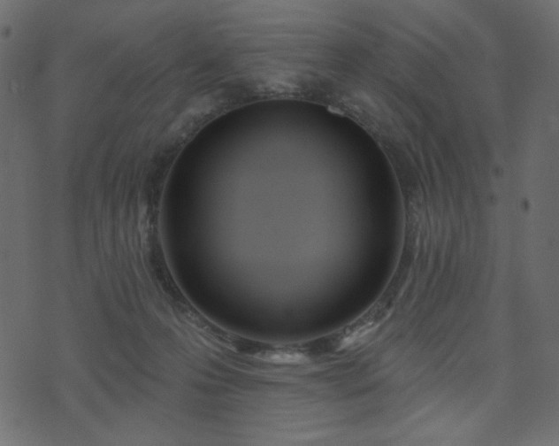 X0000074320223200608251309