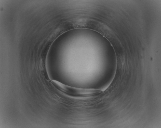 X0000074320224200608251309