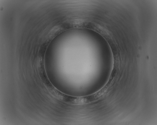 X0000074320225200608251309