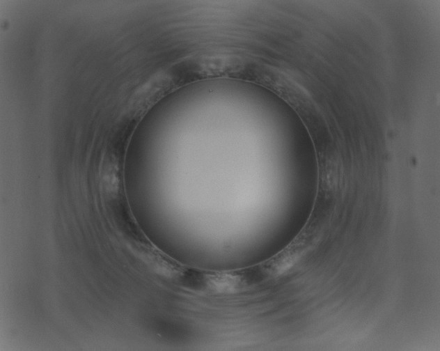 X0000074320226200608251309