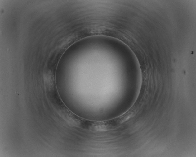 X0000074320228200608251309