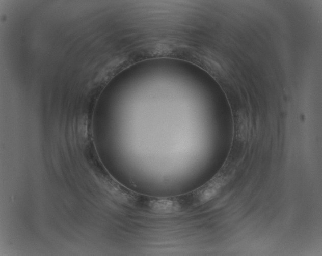 X0000074320230200608251309
