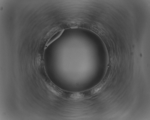 X0000074320231200608251308