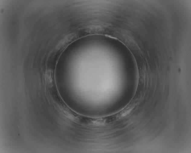 X0000074320232200608251308