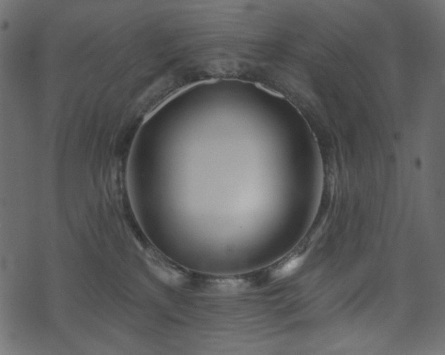 X0000074320233200608251308