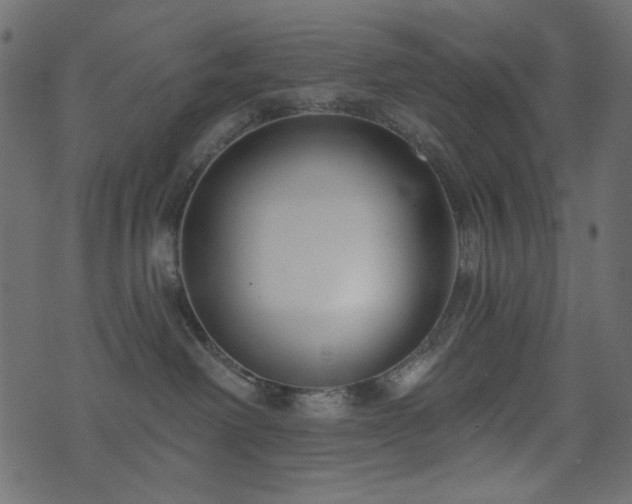 X0000074320238200608251308