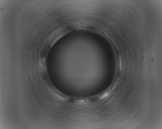 X0000074320239200608251308