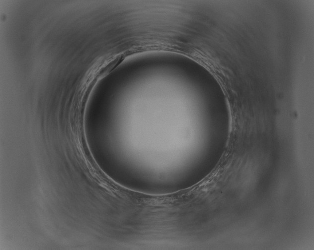 X0000074320241200608251308