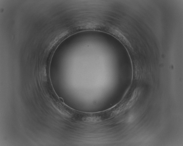 X0000074320251200608251308