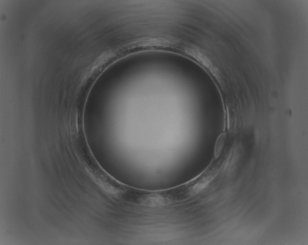 X0000074320253200608251308