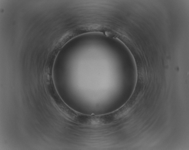 X0000074320264200608251308
