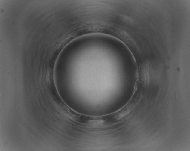 X0000074320266200608251308