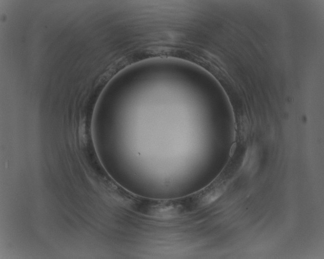 X0000074320267200608251308