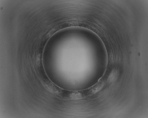 X0000074320271200608251308