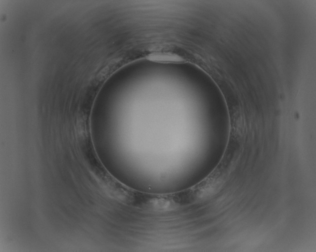 X0000074320272200608251308