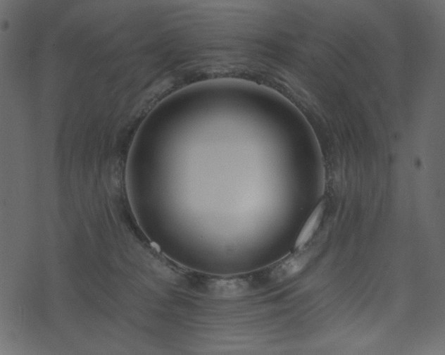 X0000074320277200608251308