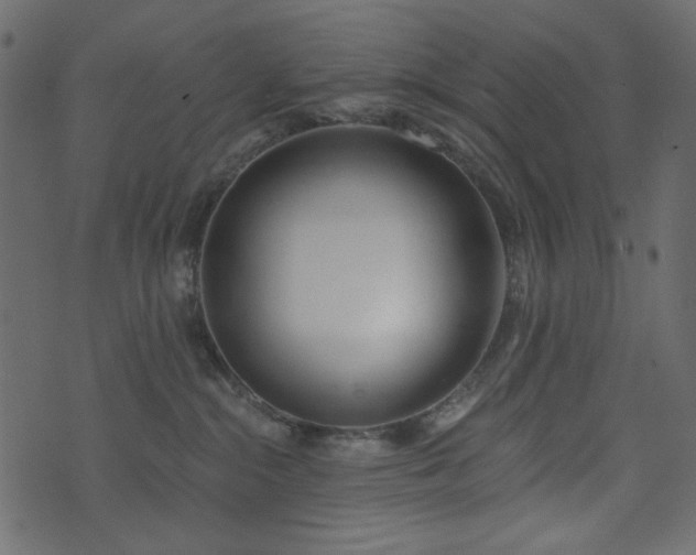 X0000074320284200608251308