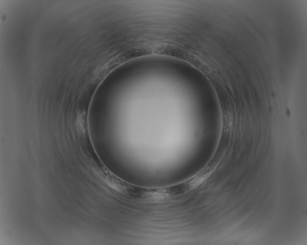 X0000074320286200608251308