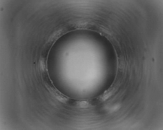 X0000074320287200608251308