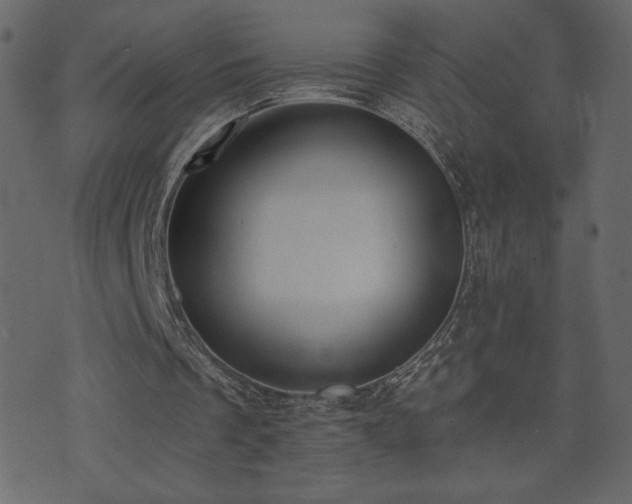 X0000074320289200608251308