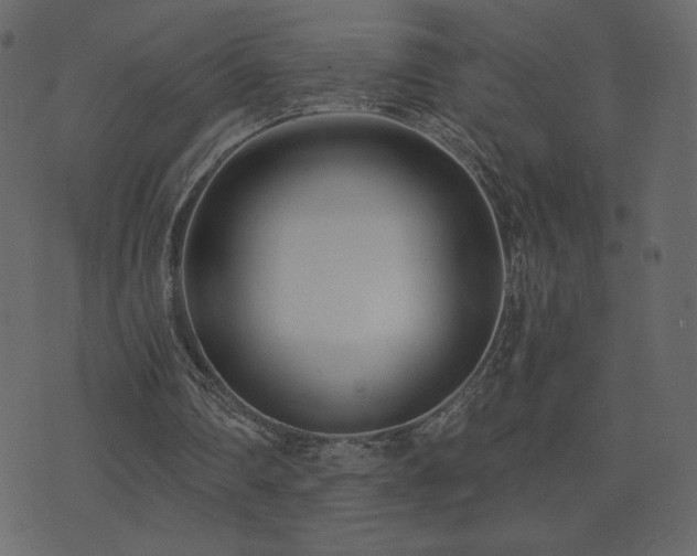 X0000074320290200608251308