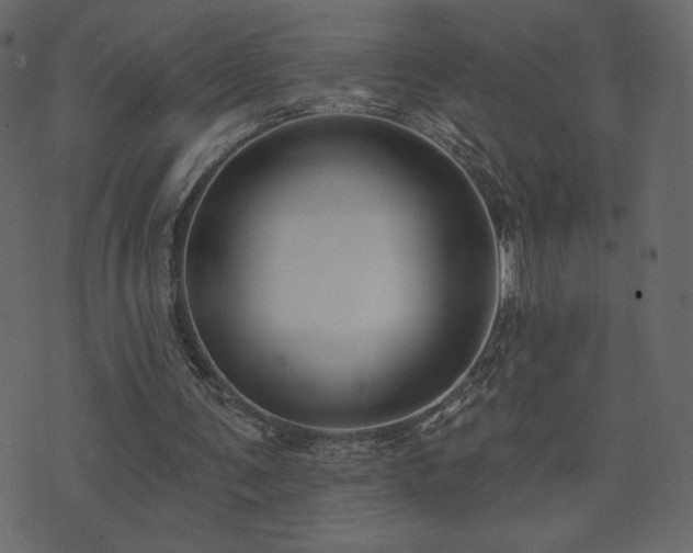 X0000074320291200608251308