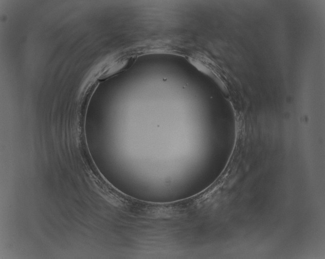 X0000074320293200608251307